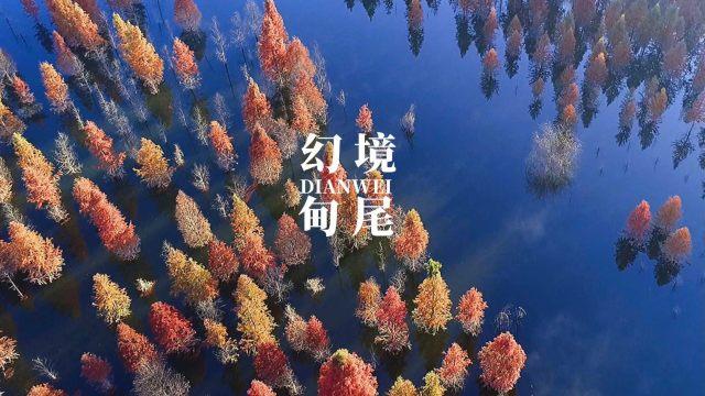 华为mate系列的手机哪一个哪一款是听筒在外的？